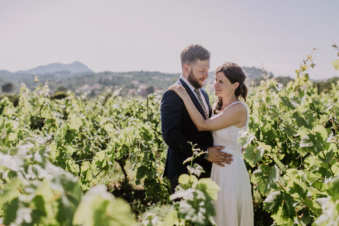 Weinreben: Bräutigam und Braut umarmen sich - Hochzeitsfotografie